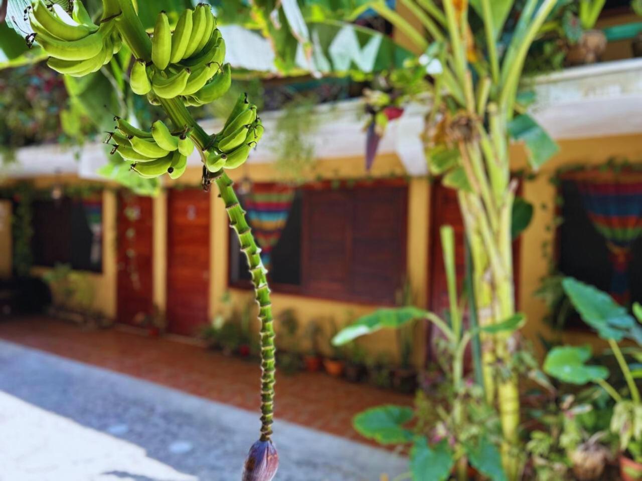 Hotel Casa Del Mar Mazunte Santa Maria Tonameca Екстер'єр фото